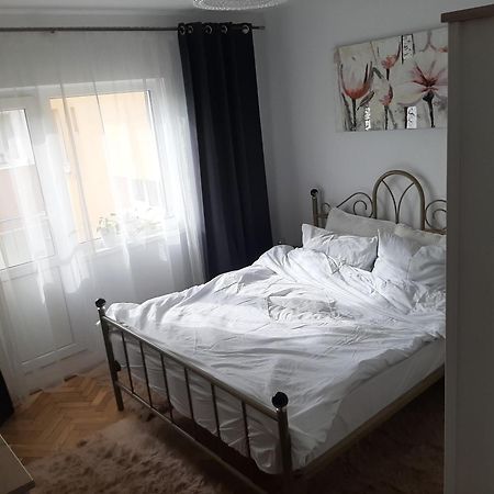 Mari&Vio Apartment Клуж-Напока Екстер'єр фото