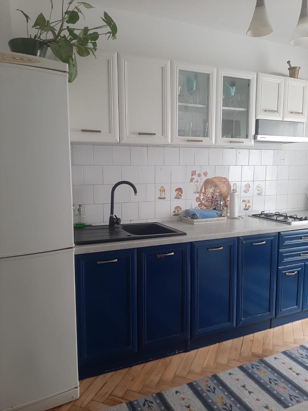 Mari&Vio Apartment Клуж-Напока Екстер'єр фото