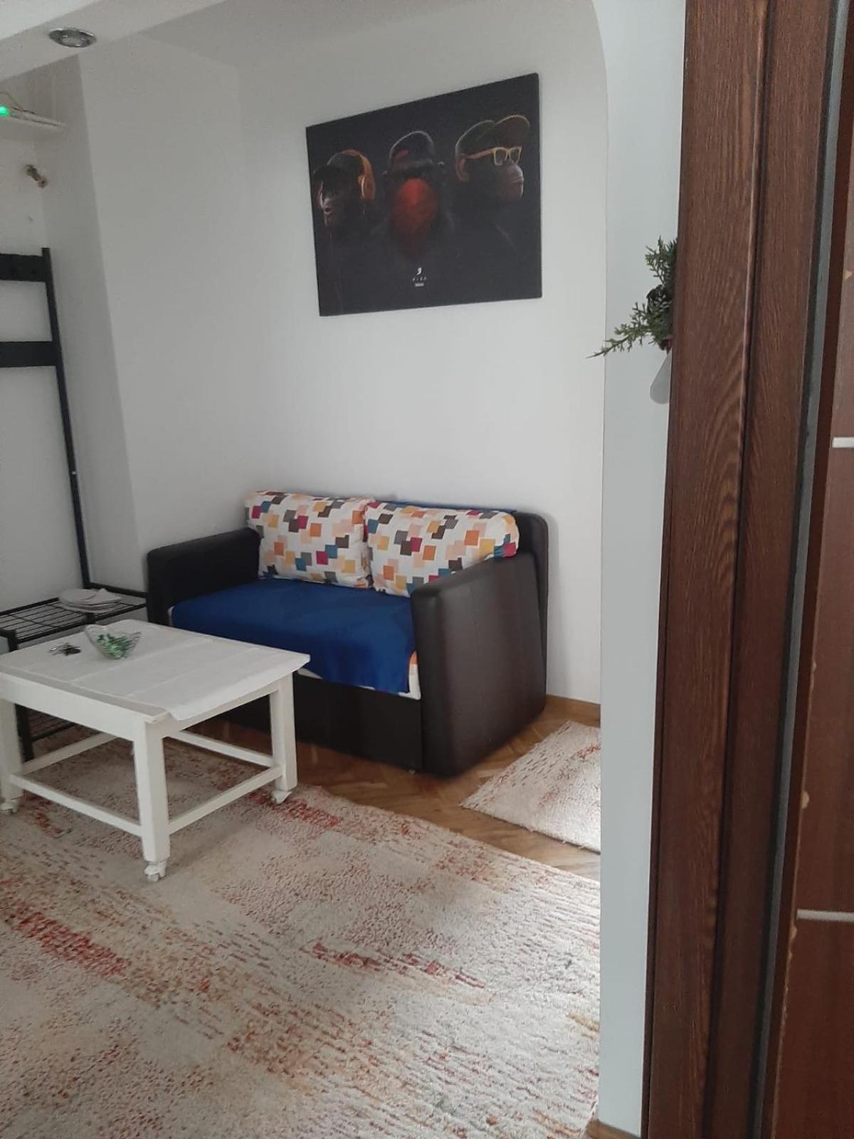 Mari&Vio Apartment Клуж-Напока Екстер'єр фото