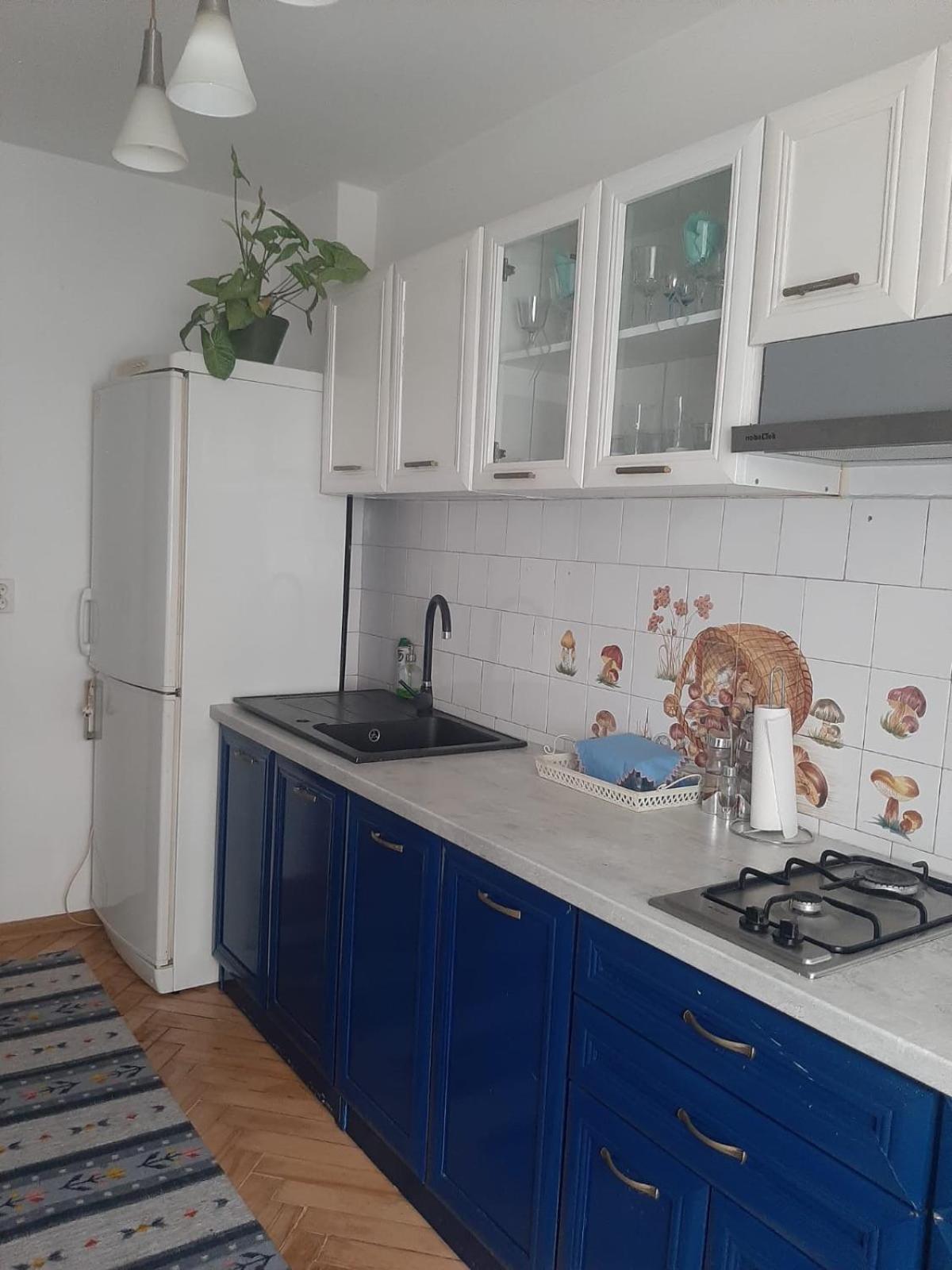 Mari&Vio Apartment Клуж-Напока Екстер'єр фото